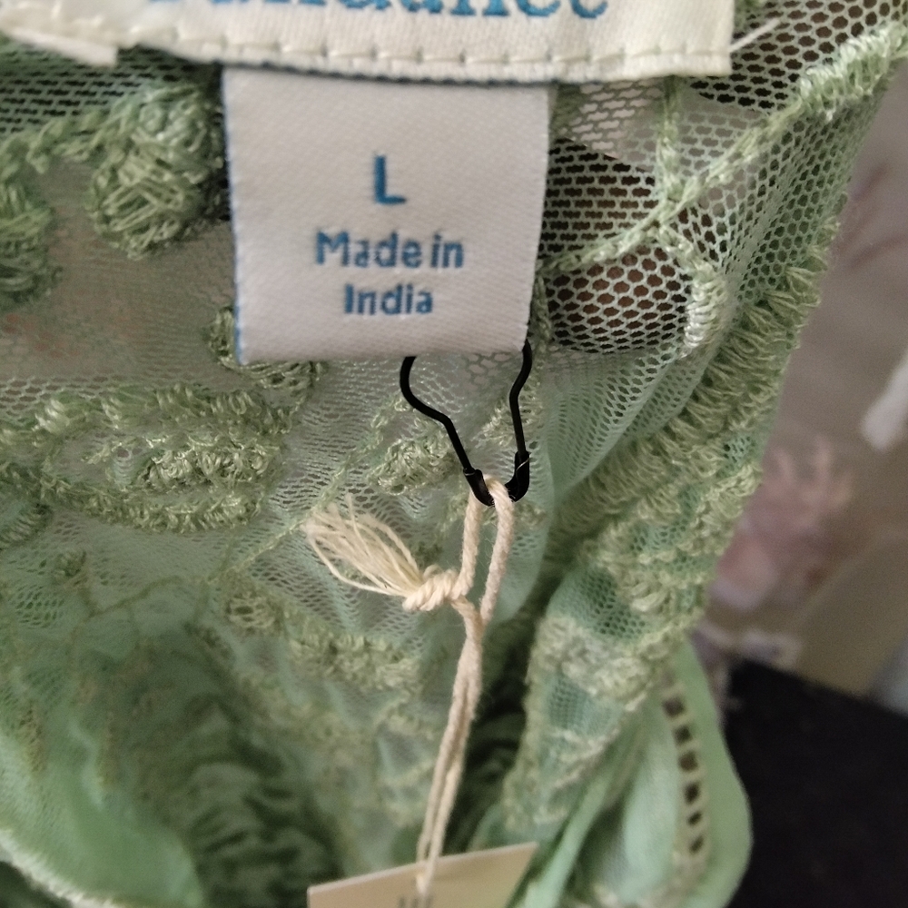 NWTSundance Embroidered Floral Sheer Mint Green Lace Boho Sleeveless Top Lined L - Picture 14 of 15